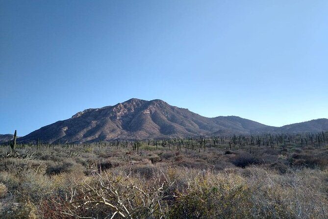 Private Hiking in La Paz - A Deep Dive into the La Paz Private Hike