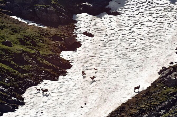 Private Hiking to Bucegi Natural Park from Brasov - Practical Tips for Your Hike