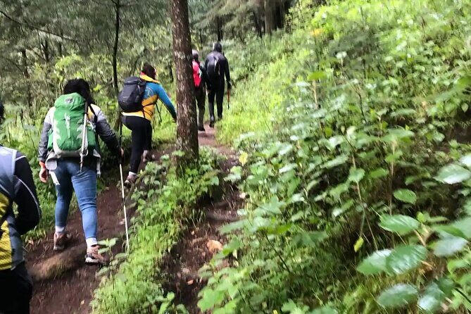 Private Hiking to Chipinique from Monterrey - The Sum Up