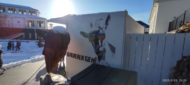 Private hiking tour Bergen mountains like a local - A Closer Look at the Bergen Mountain Hiking Tour