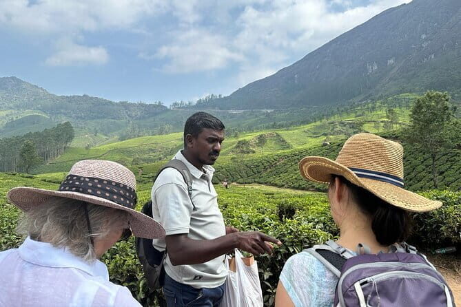 Private Hiking Tour from Cochin with Overnight Stay at Munnar - Exploring the Itinerary: What You Can Expect