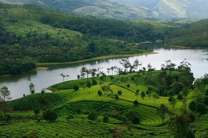 Private Hiking Tour from Cochin with Overnight Stay at Munnar - FAQs