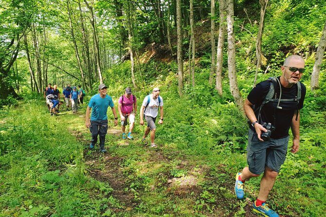 Private Hiking Tour to Machakhela National Park from Batumi - An In-Depth Look at the Machakhela Hiking Tour