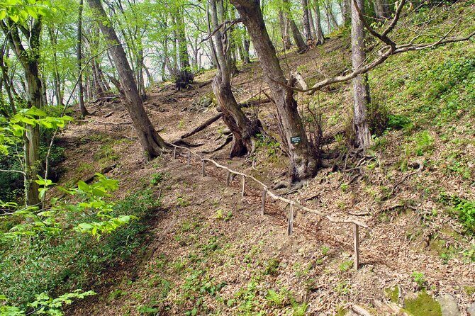 Private Hiking Tour to Machakhela National Park from Batumi - FAQ