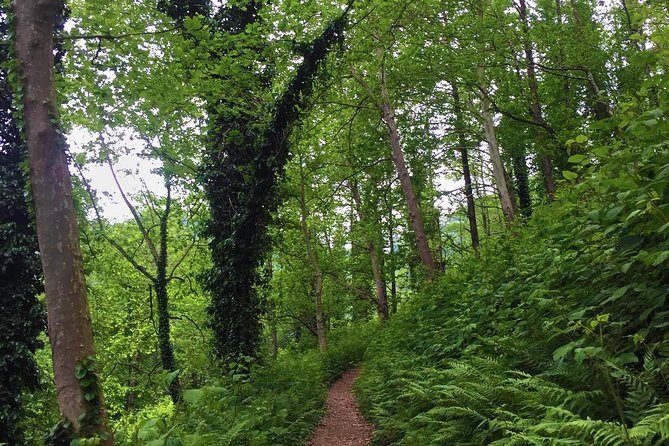 Private Hiking Tour to Mtirala National Park from Batumi - Frequently Asked Questions