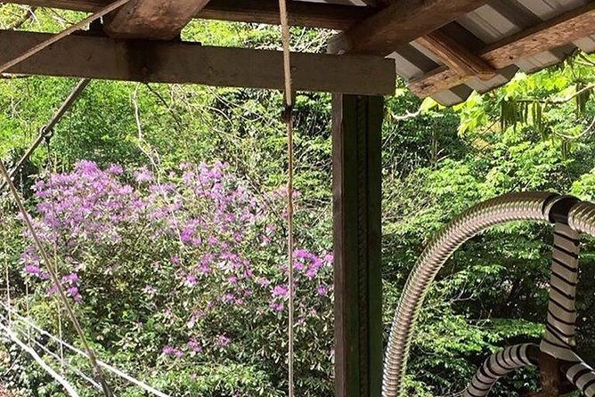 Private Hiking Tour to Mtirala National Park from Batumi - Final Thoughts