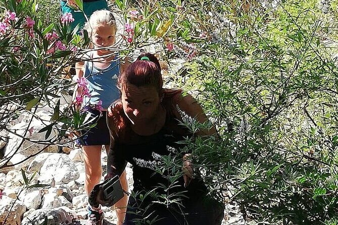 PRIVATE Hiking Walking GORGE nearby Hersonissos CRETE - Who Will Love This Tour?