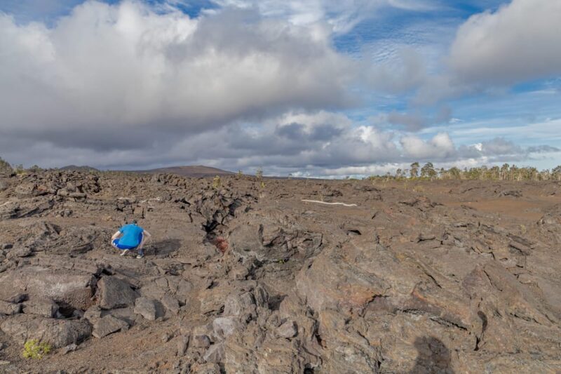 Private Hilo Cruise Special - Waterfalls and Volcanoes - Additional Stops and Flexibility