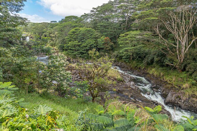 Private Hilo Shore Excursion - Botanical Gardens & Waterfalls - Key Points