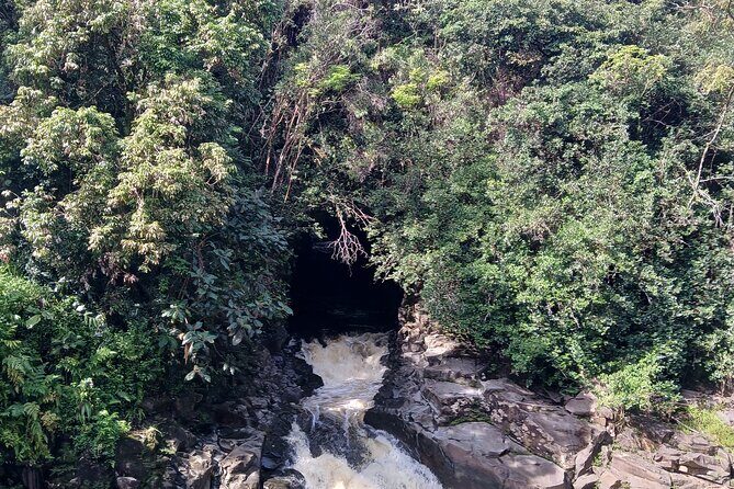 Private Hilo Shore Excursion Volcano National Park up to 14 - FAQs