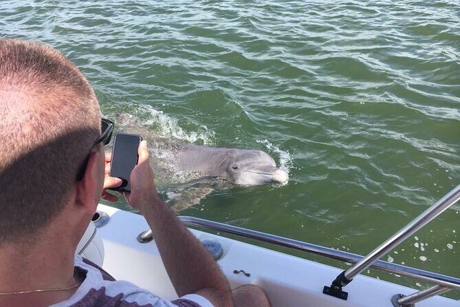 Private Hilton Head Dolphin Tour with Waterfront Dining Stop - An In-Depth Look at the Experience