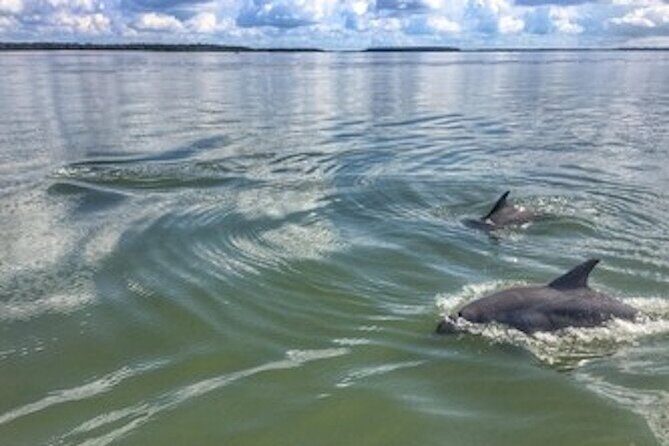 Private Hilton Head Sunset Dolphin Tour - Why This Tour Might Be a Great Choice for You