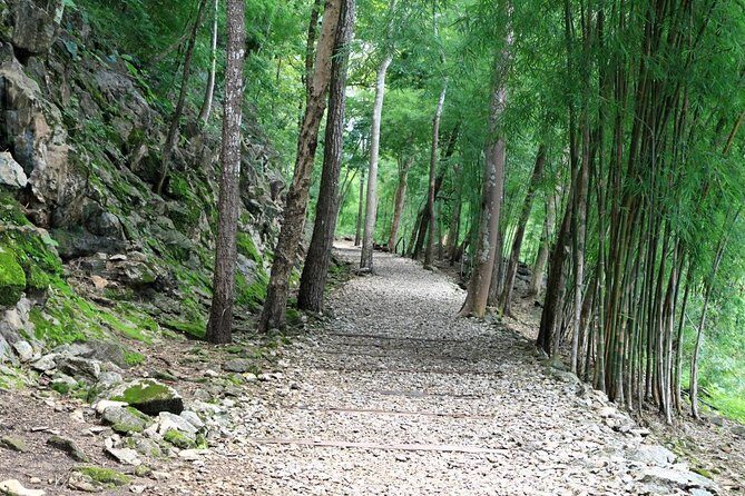 Private Historic River Kwai Death Railway, War Cemetery and Hellfire Pass Tour - A Detailed Look at the Tour Experience