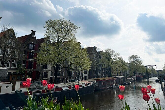 Private Historical Highlights Walking Tour, local Dutch guide - Jordaan Neighborhood: Local Charm
