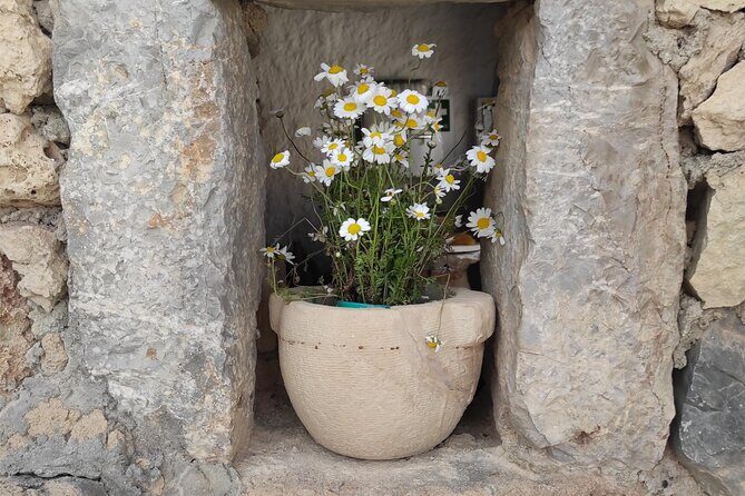 Private History, Sights, and Food Walking Tour of Chania City - A Deep Dive into the Chania Experience