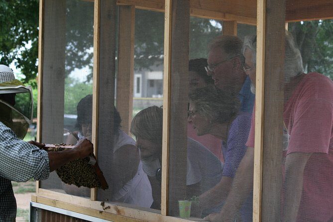Private Hive Tour - Why This Experience Stands Out