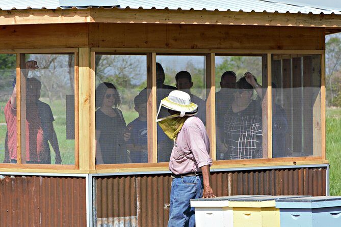 Private Hive Tour - The Sum Up: Is It Worth It?
