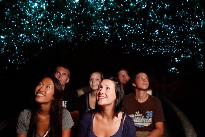 Private Hobbiton Movie Set & Waitomo Caves in a Day from Auckland - Scenic Return and Reflections