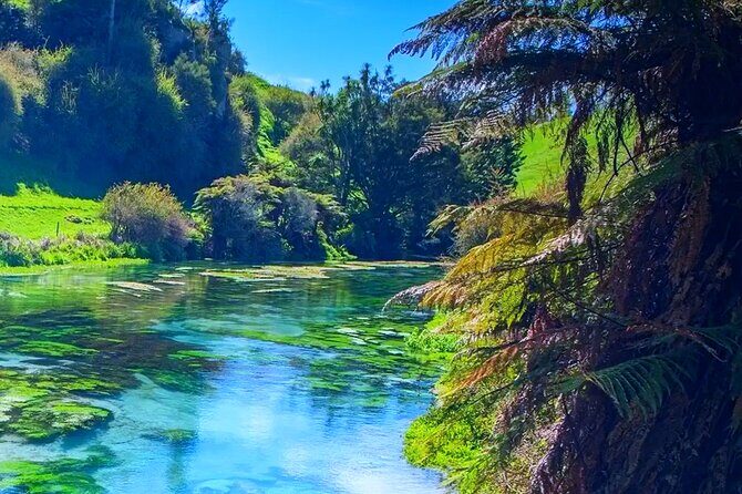 Private Hobbiton, Waitomo Caves, Blue Spring & Hamilton Transfer - FAQ