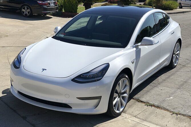 Private Hobbiton & Waitomo Caves Transfer from Auckland - Insights from Reviews