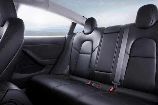 Private Hobbiton & Waitomo Caves Transfer from Auckland - Who Will Benefit Most?