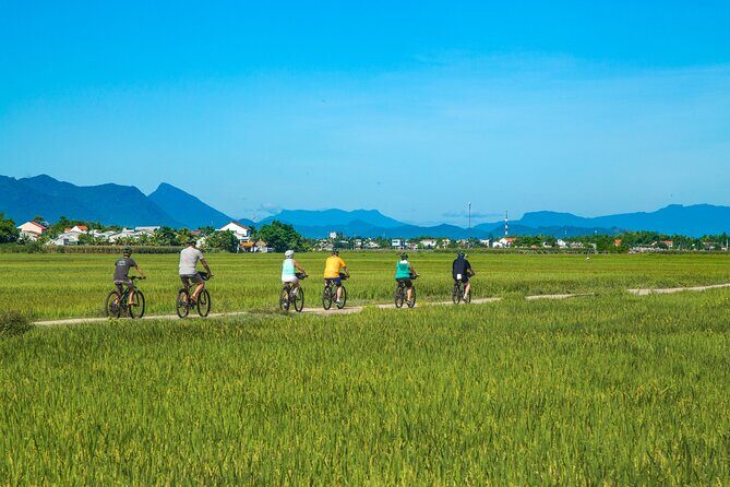 Private Hoi An to My Son Sanctuary Full-Day Bike Tour - Who Is This Tour Best For?