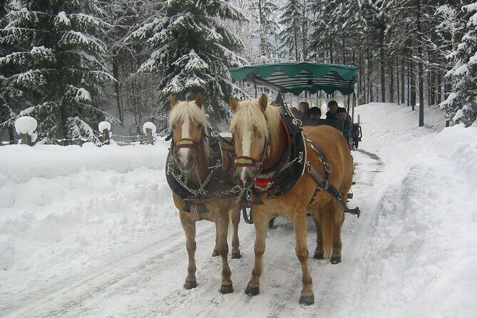 Private Horse-Drawn Sleigh Ride from Salzburg - Key Points