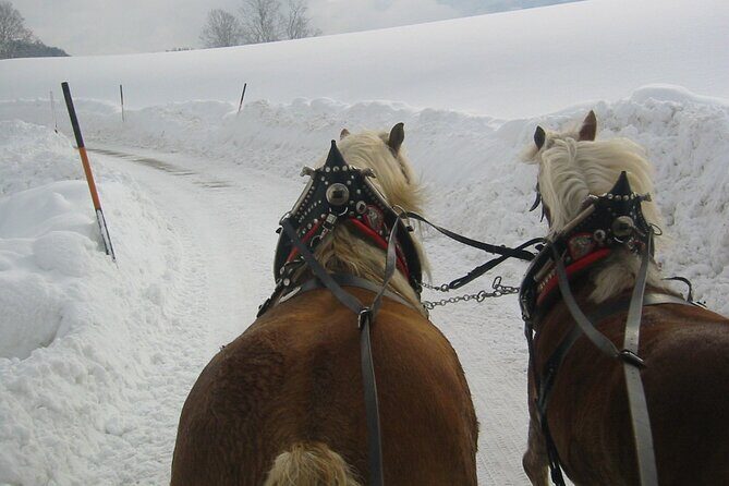 Private Horse-Drawn Sleigh Ride from Salzburg - An In-Depth Look at the Experience