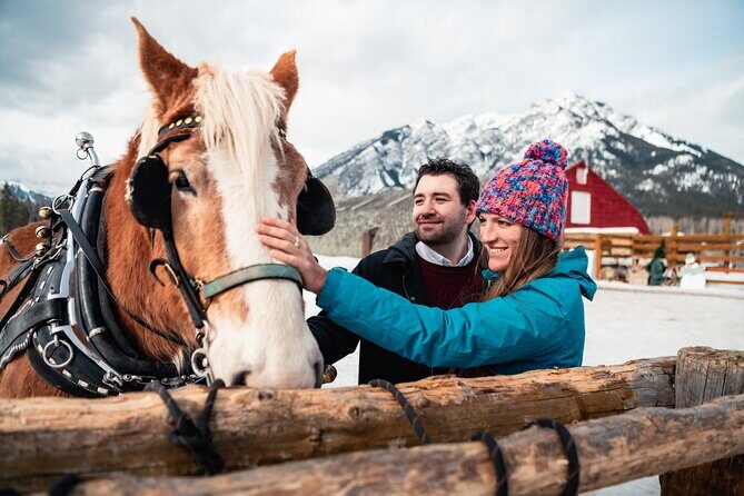 Private Horse-Drawn Sleigh Ride In Banff - Practical Considerations