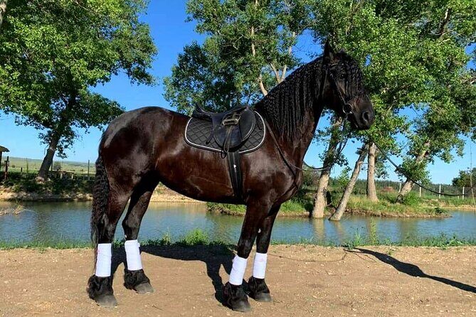 Private Horse Ridding tour - An In-Depth Look at the Tour Experience