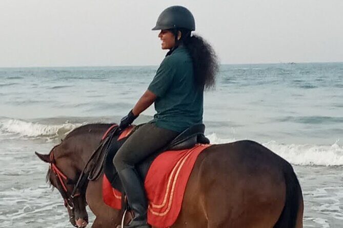 Private Horse Riding in Mount Lavinia - Key Points