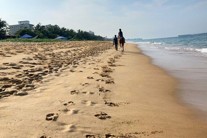 Private Horse Riding in Mount Lavinia - Discovering the Experience: What to Expect from Your Horseback Ride