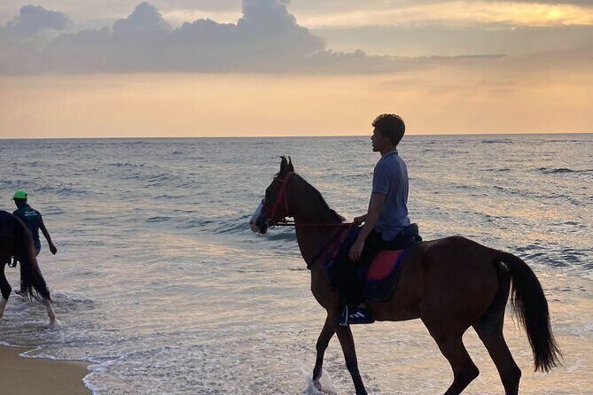 Private Horse Riding in Mount Lavinia - FAQs