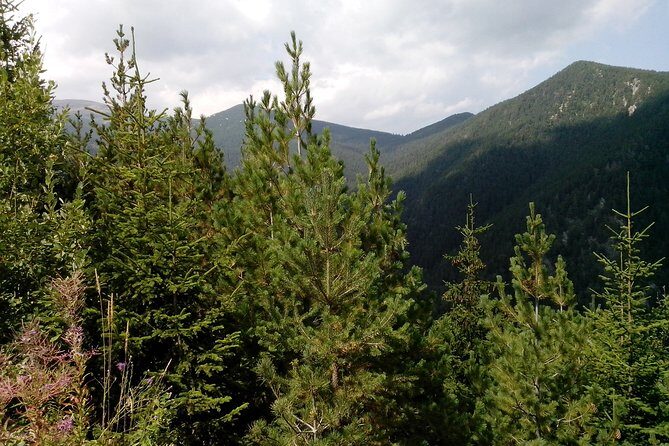 Private Horse Riding in Teteven Balkan from Sofia - Key Points