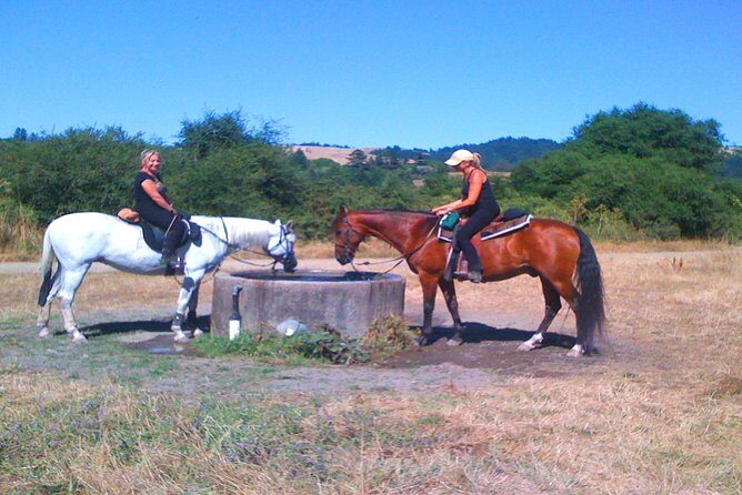 Private Horseback Riding and Muir Woods Adventure from San Francisco - The Itinerary Breakdown: What to Expect