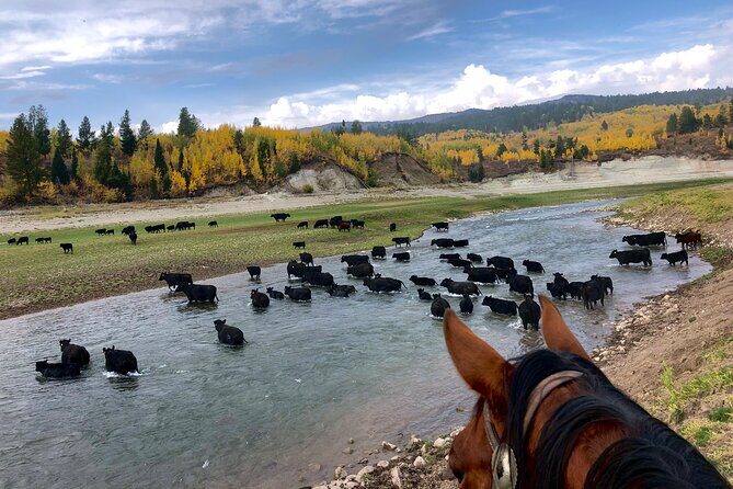 Private Horseback Riding in Wyoming - Key Points