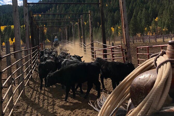 Private Horseback Riding in Wyoming - An In-Depth Look at the Experience
