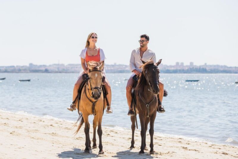 PRIVATE Horseback Riding On The Beach - Pricing and Value Analysis
