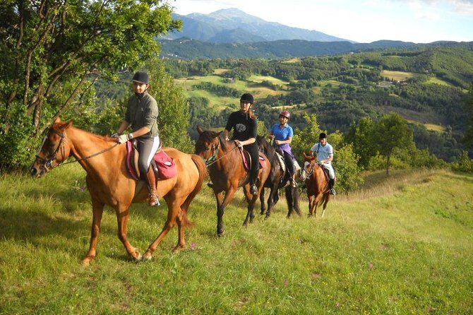 Private Horseback Riding Tour in Sicilian Countryside + Tradional lunch - Exploring the Sicilian Countryside on Horseback with a Delicious Lunch