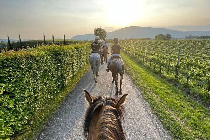 Private Horseback Riding Tour of the Vineyards in Verona with Wine Tasting - Exploring Verona and Valpolicella: A Deep Dive