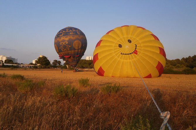 Private Hot Air Balloon Ride in Mallorca with Champagne and Snacks - Who Will Love This Experience?