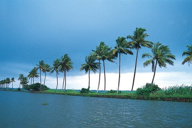 Private Houseboat Backwater Day Cruise tour with Lunch from Cochin - The Experience from a Traveler’s Perspective