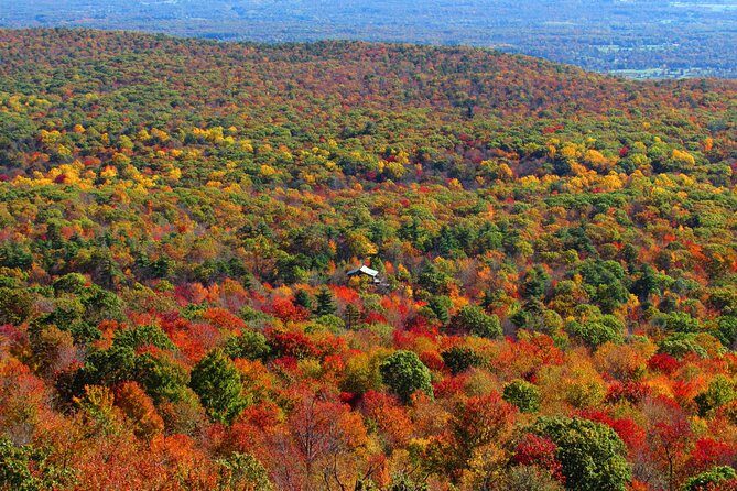 Private Hudson Valley Fall Foliage Helicopter Charter from Manhattan - Practical Details: What You Need to Know