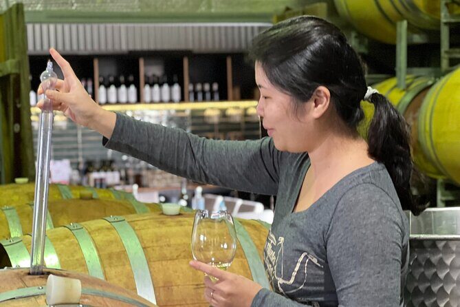 Private Hunter Valley Luxury Tour From Sydney - Practical Details