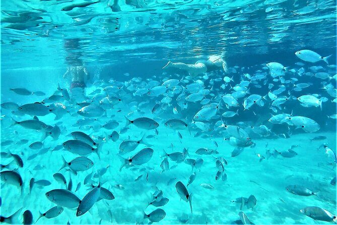 Private Hydro-Jet Snorkeling Beach and Cave Cruise Tour - FAQs