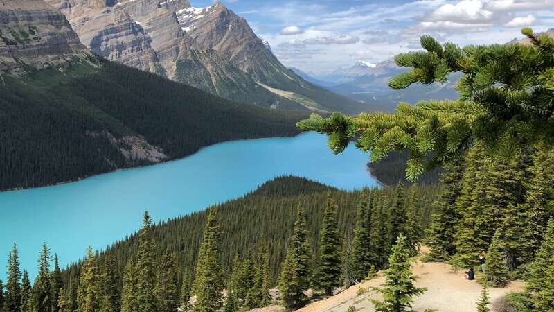 Private Icefields Parkway Tour w/ Lake Louise & Moraine Lake - The Details: Transportation, Group Size, and Timing