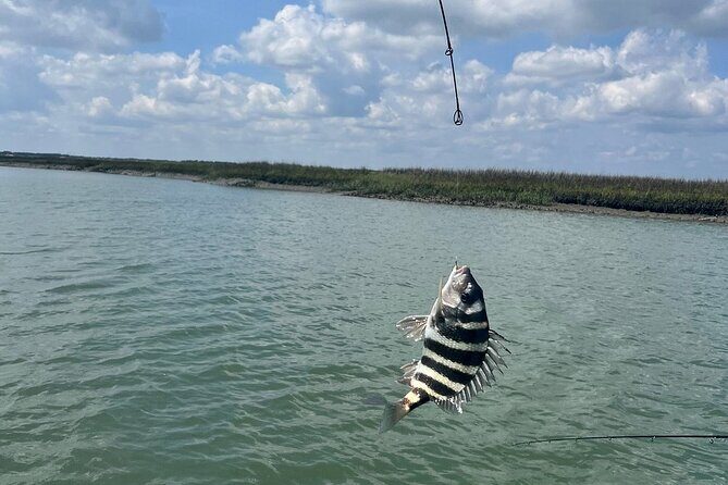 Private Inshore Fishing - What to Expect from Your Private Inshore Fishing Experience