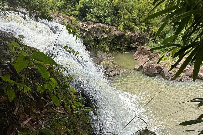 Private Instagram Tour of Maui - Introduction to the Maui Private Instagram Tour