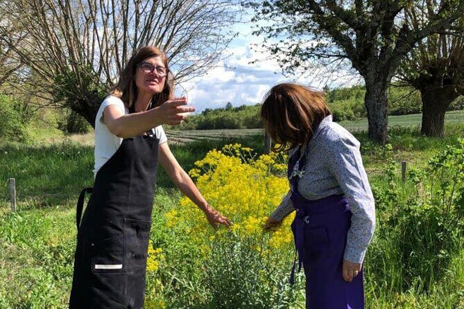 Private Introduction to plant color in Forcalquier in Provence - Exploring the Workshop Experience