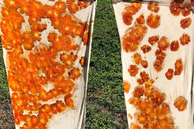 Private Introduction to plant color in Forcalquier in Provence - Who Would Love This Tour?